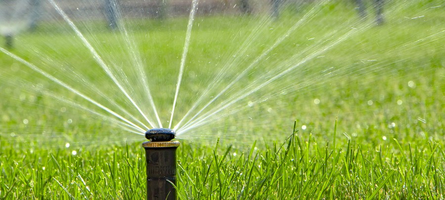 Lawn Watering TIPS!
